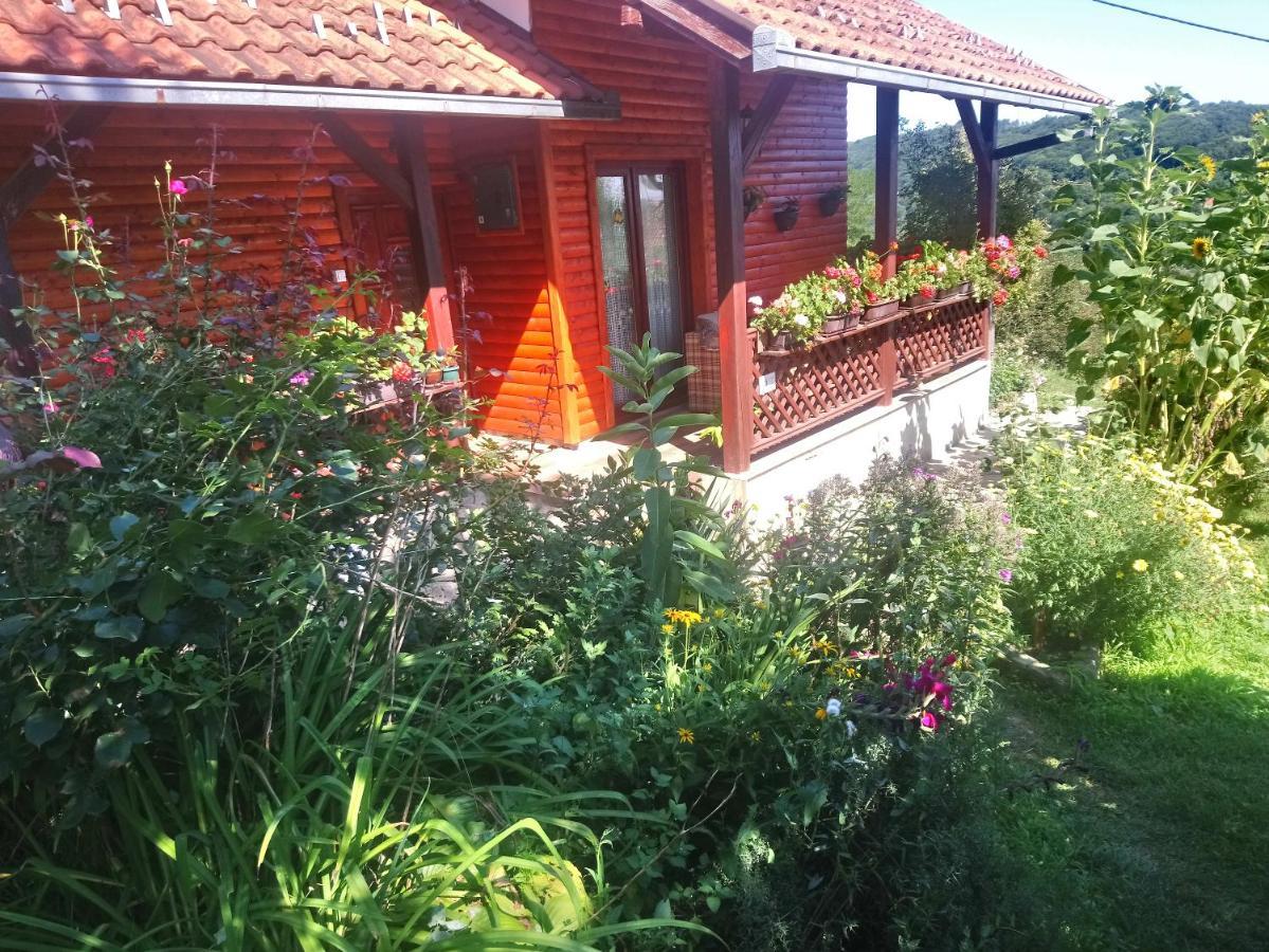 Guest House Little Heaven Užice Esterno foto